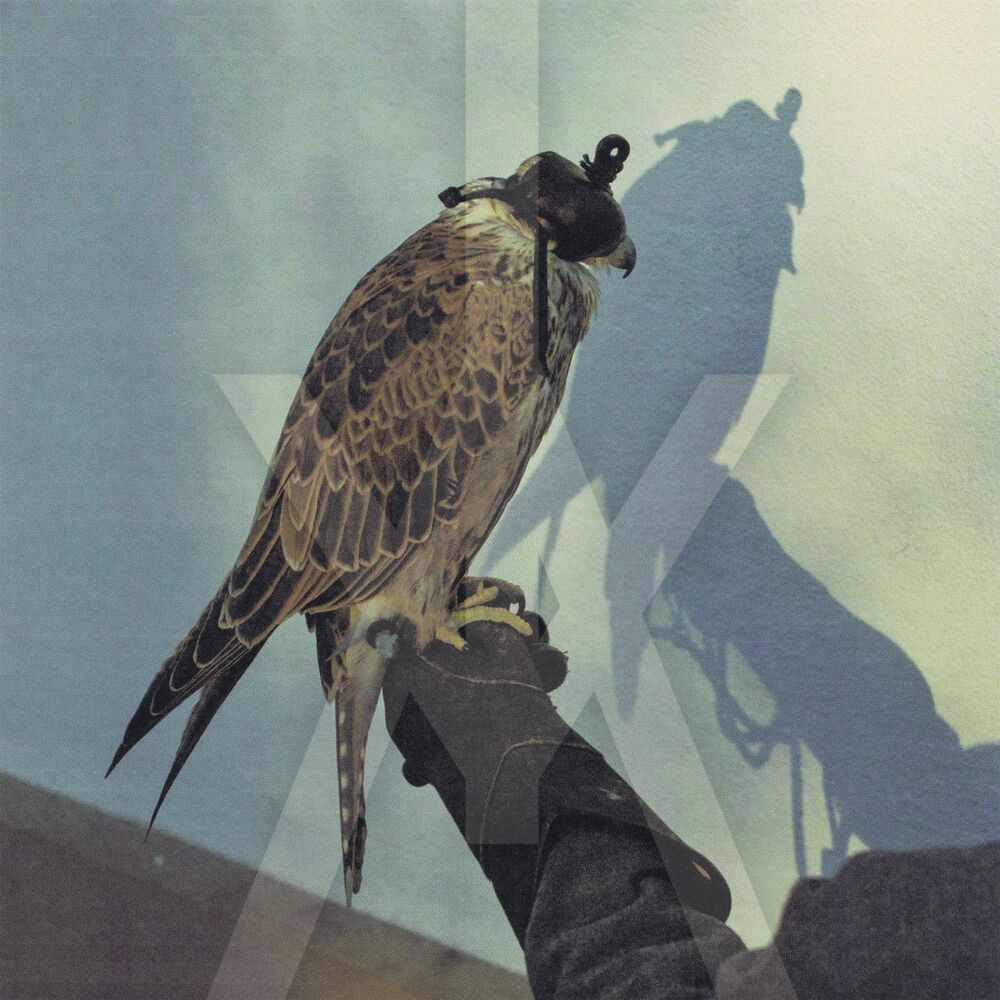 Picture of You're Nothing (+ 2)