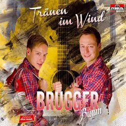 Cover of Tränen im Wind