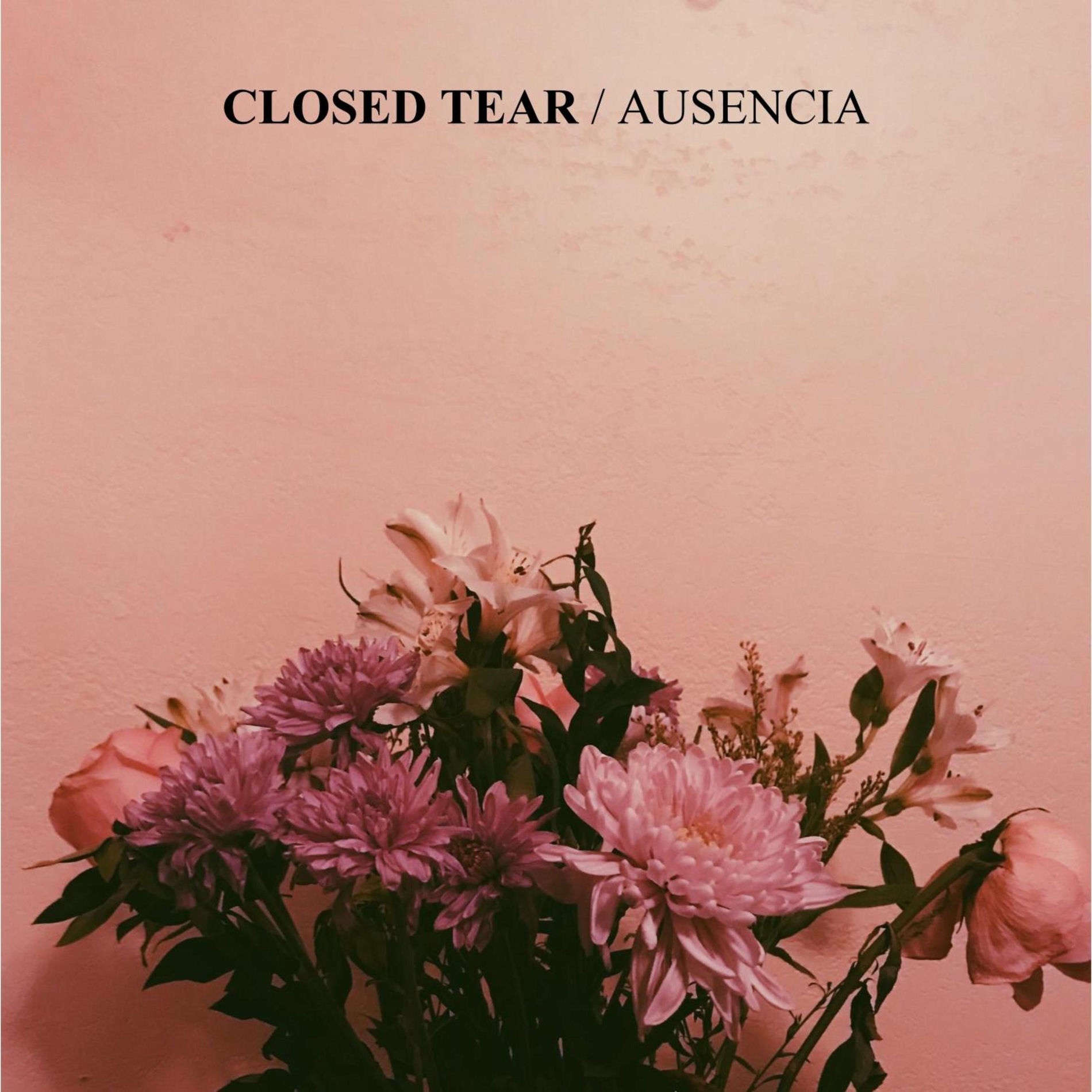 Album cover of Ausencia