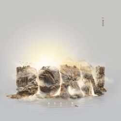 Cover of Born Again