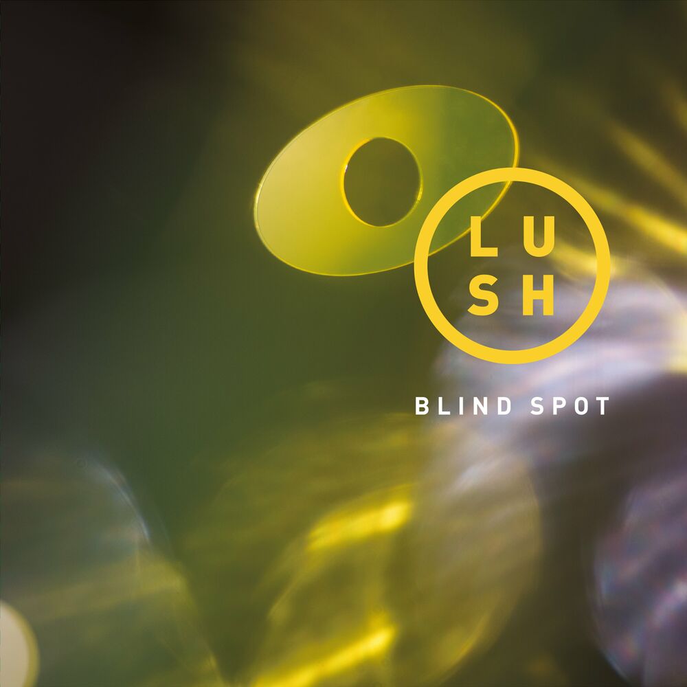 Picture of Blind Spot