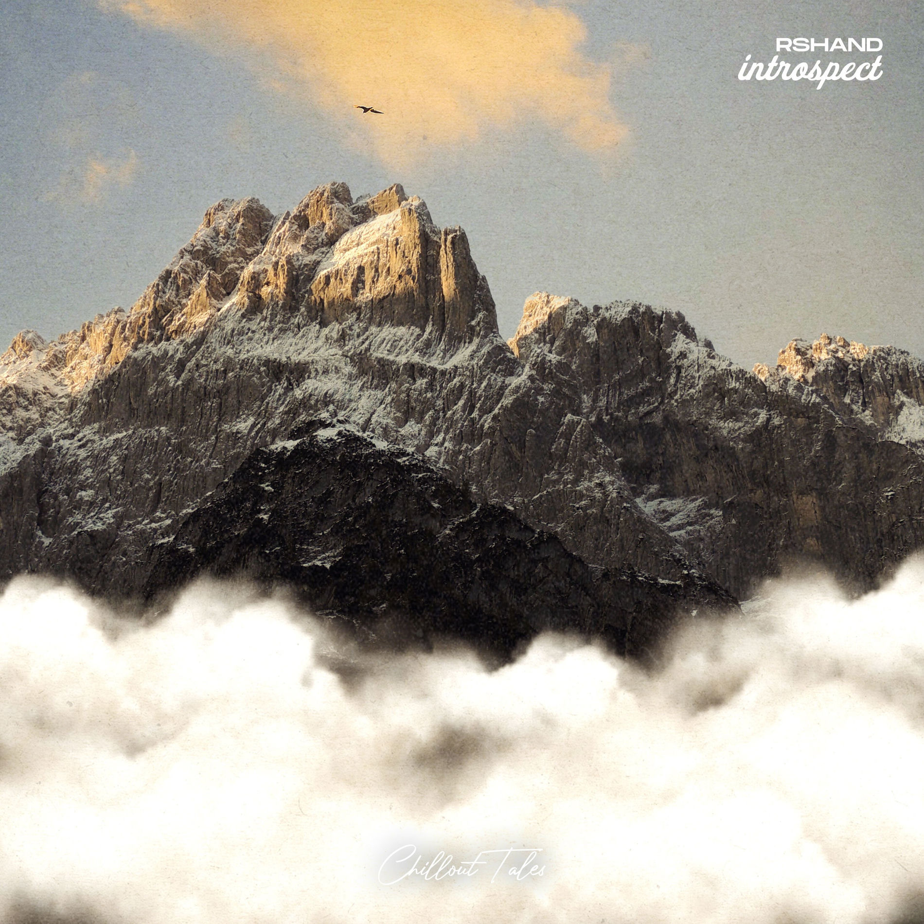 Album cover of Introspect