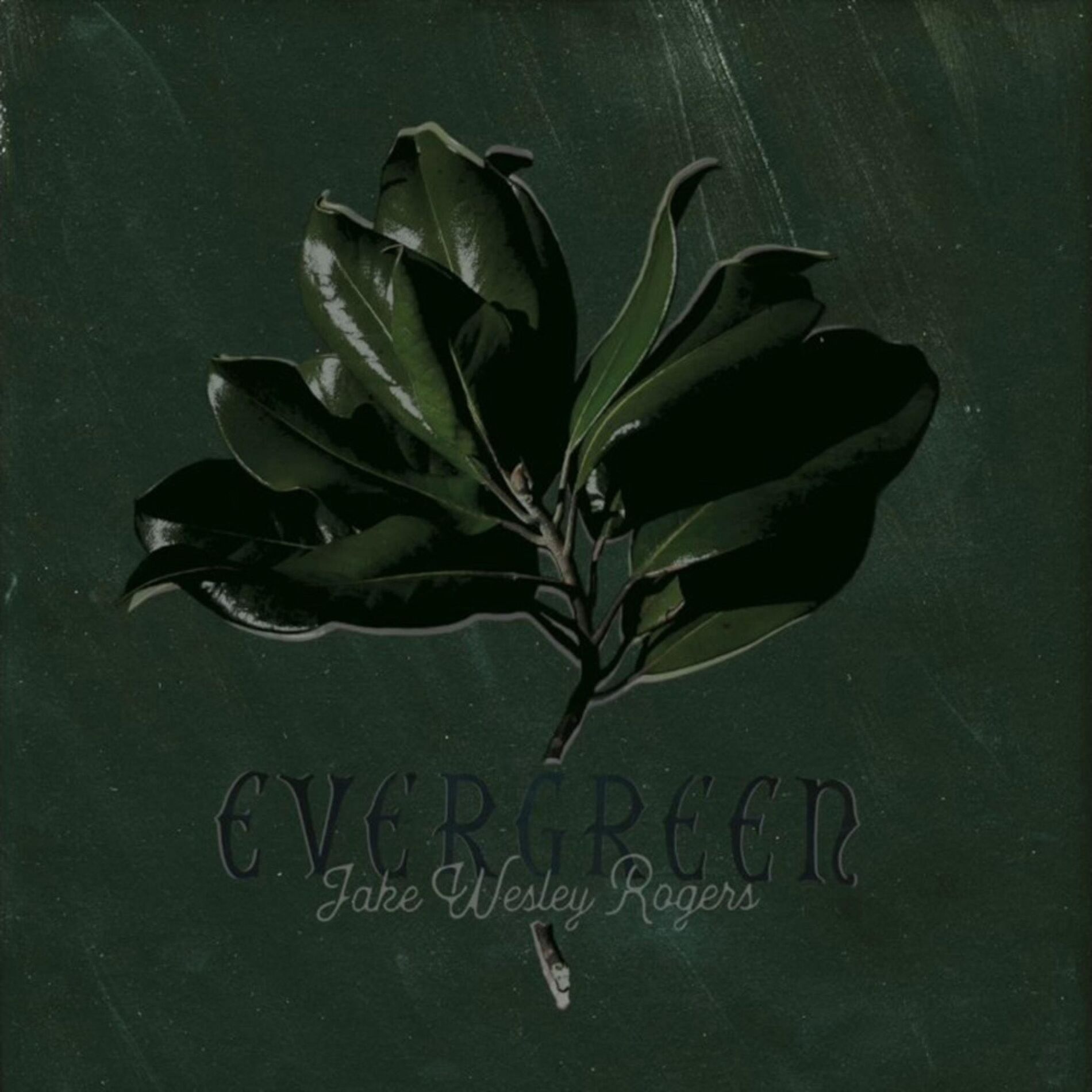 Album cover of Evergreen