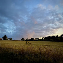 Descargar last light - jaackson MP3