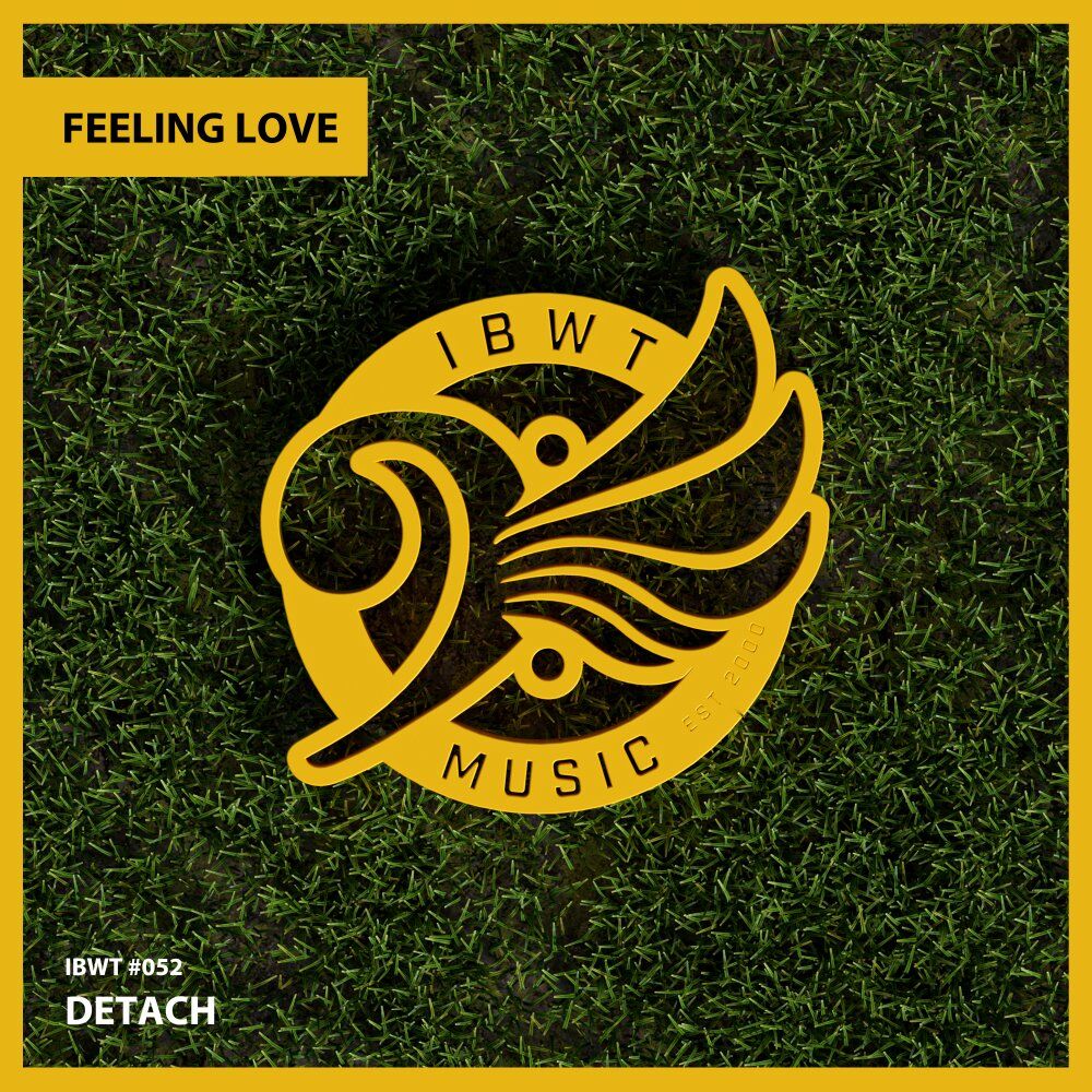 Picture of Feeling Love
