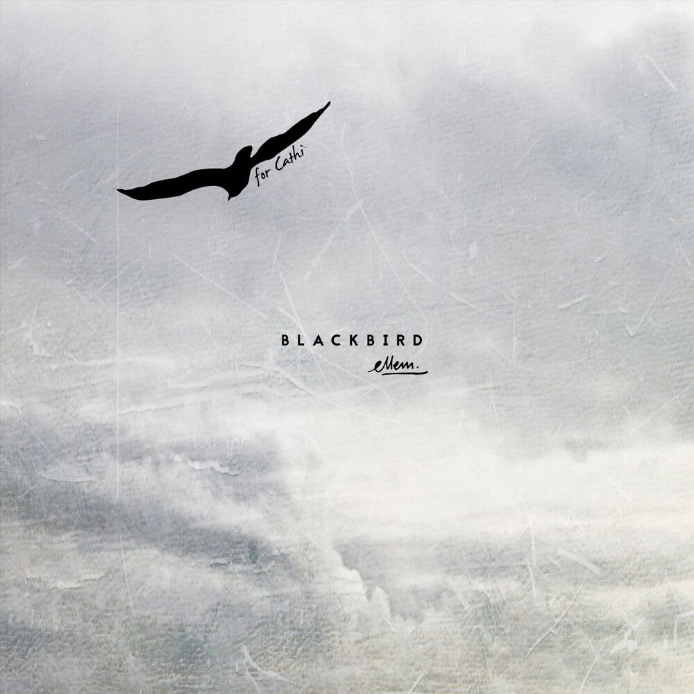 Picture of Blackbird