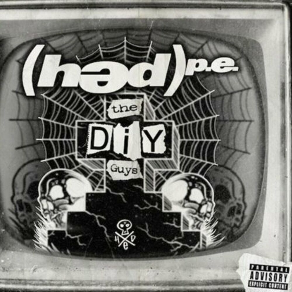 Picture of The DIY Guys
