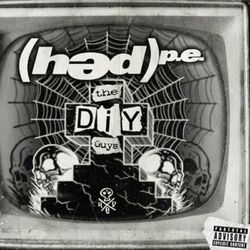 Cover of The DIY Guys