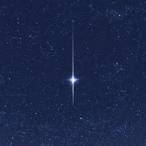Estrella fugaz