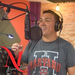 Cover of Si No Estas