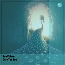 Cover of Cure The Soul