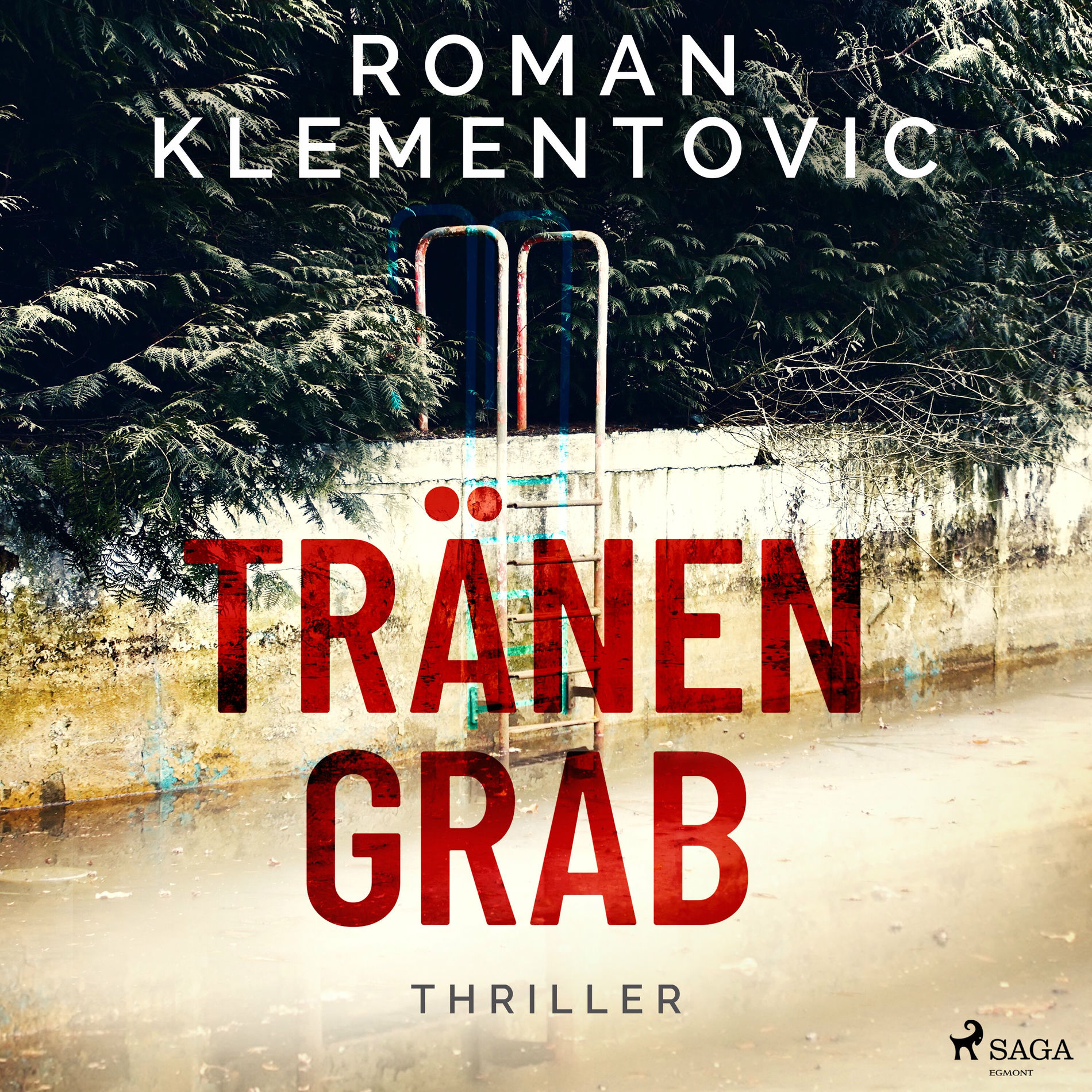 Album cover of Tränengrab (Thriller)