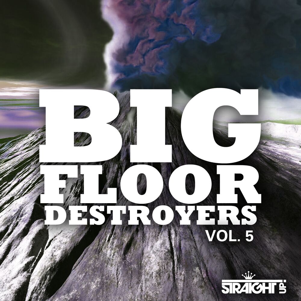 Picture of Big Floor Destroyers Vol. 5