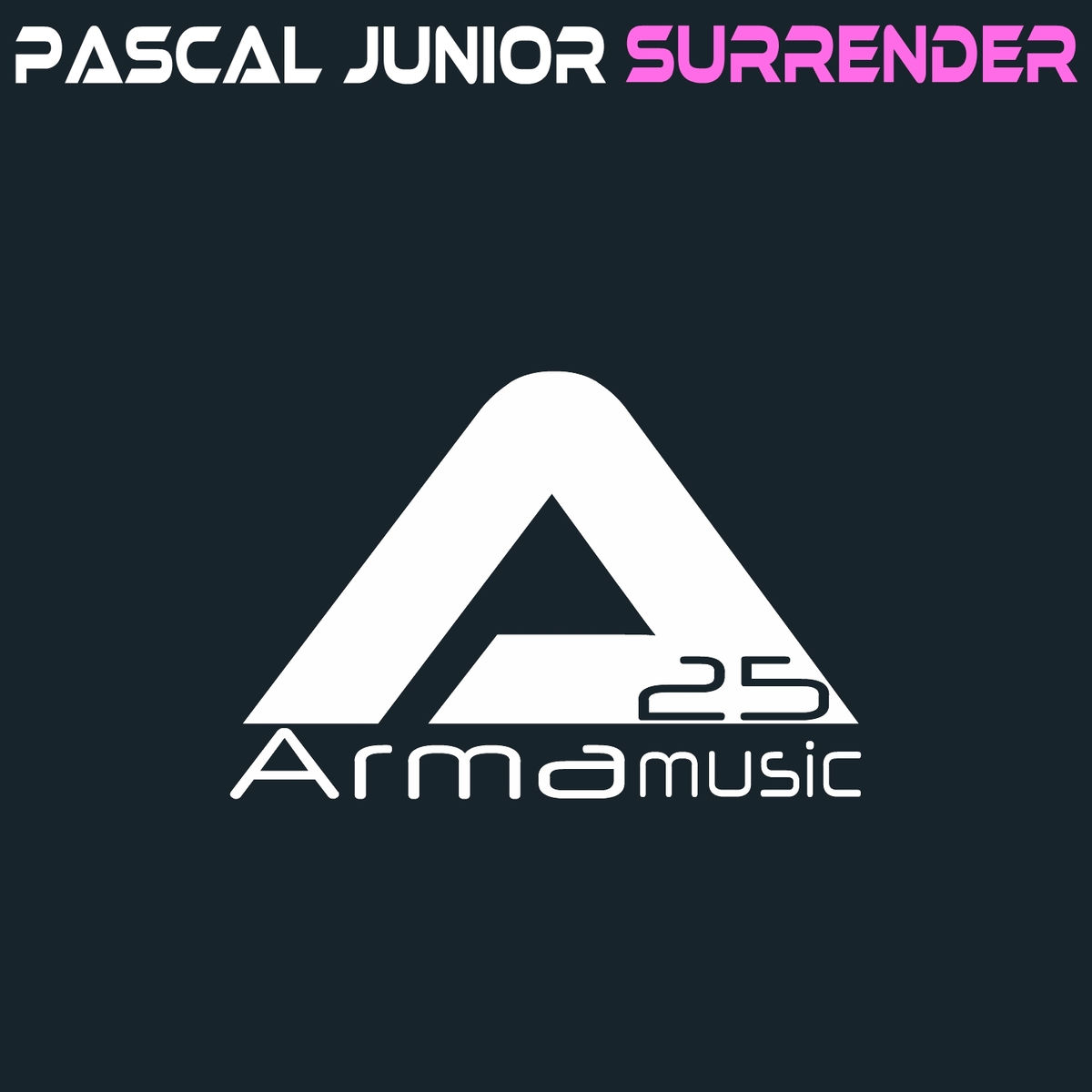 Album cover of Surrender