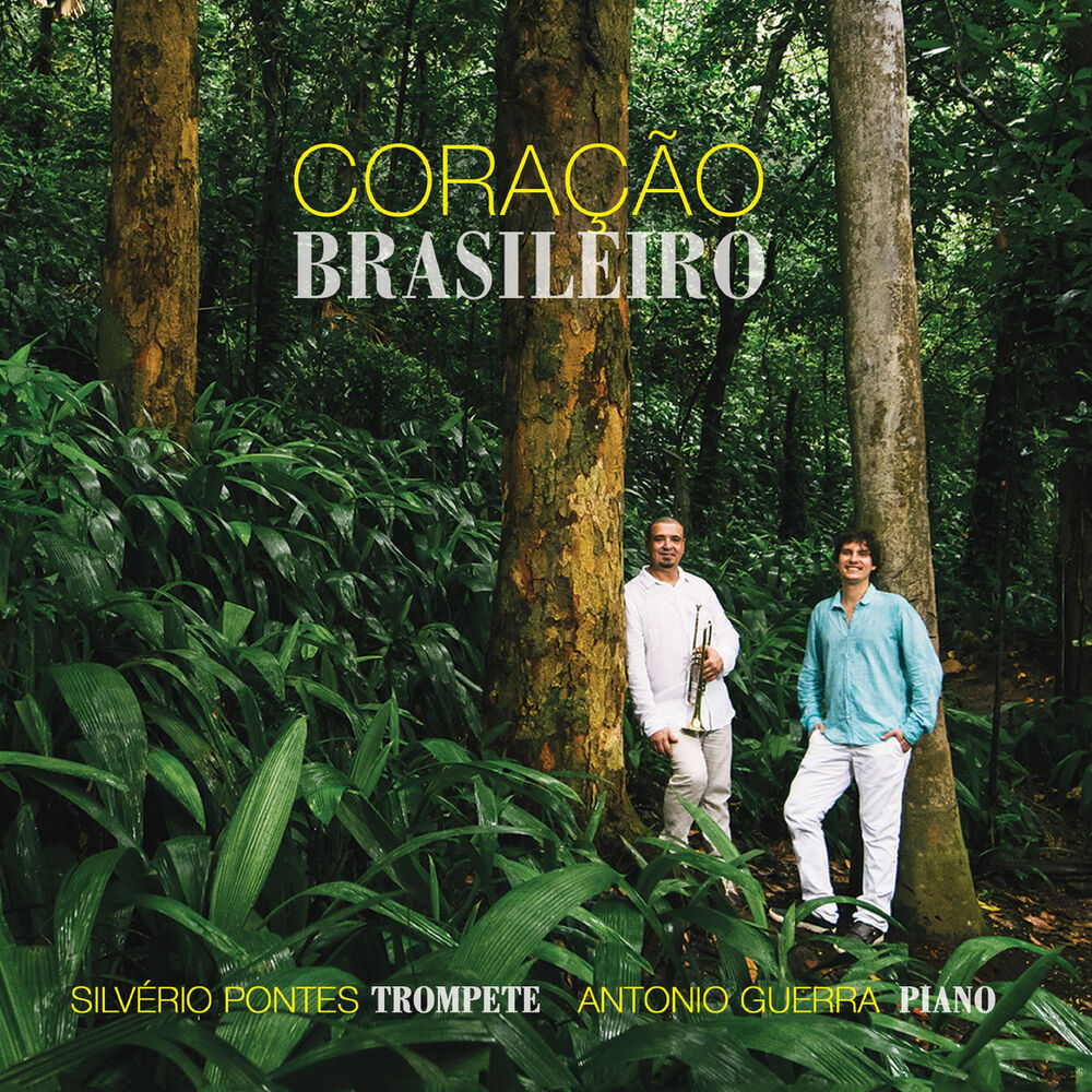Picture of Coração Brasileiro