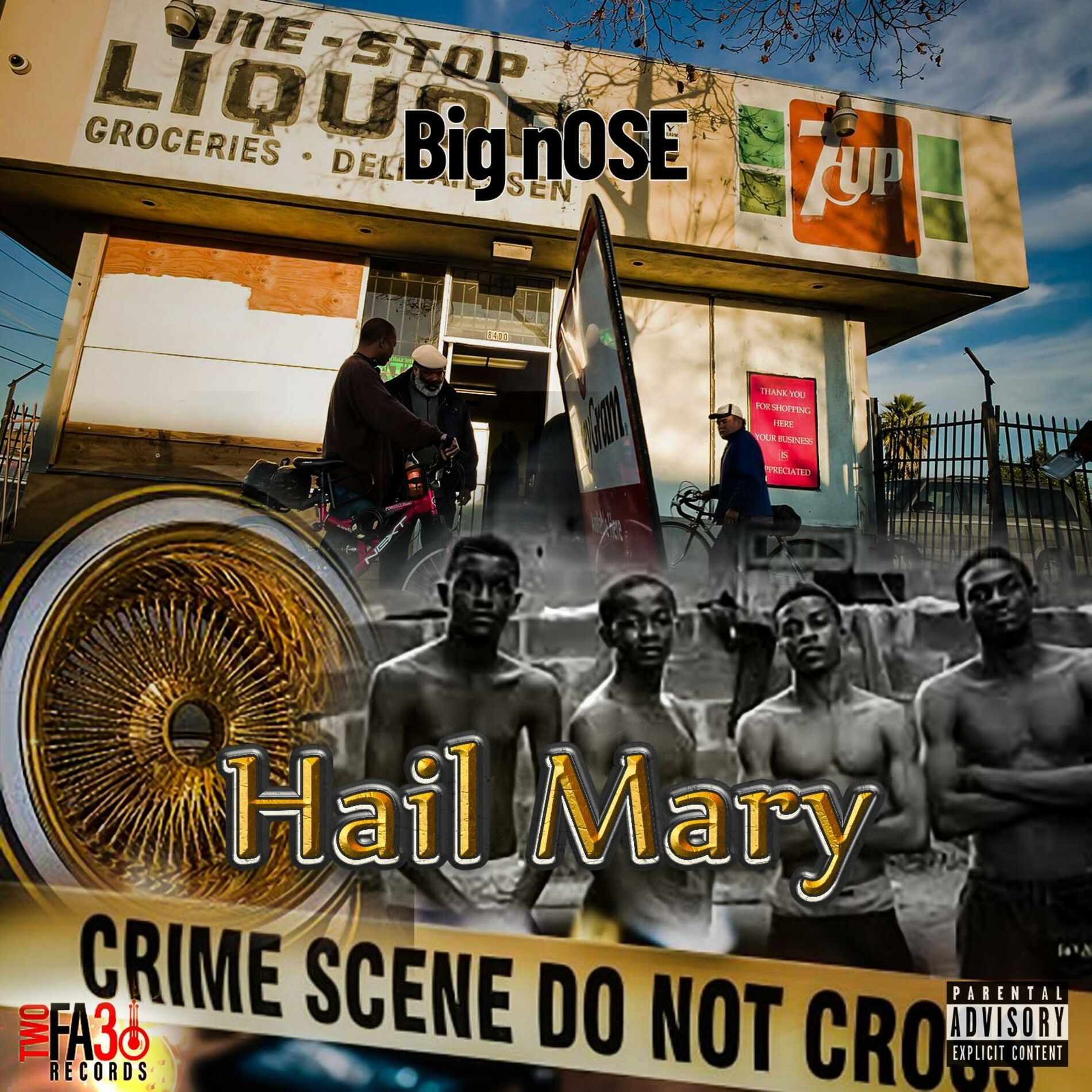 Album cover of HAIL MARY