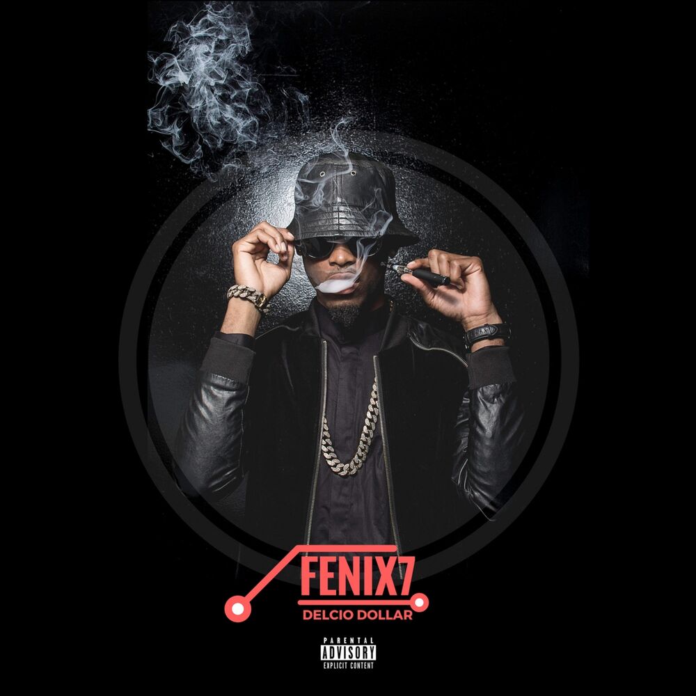 Picture of fénix 7