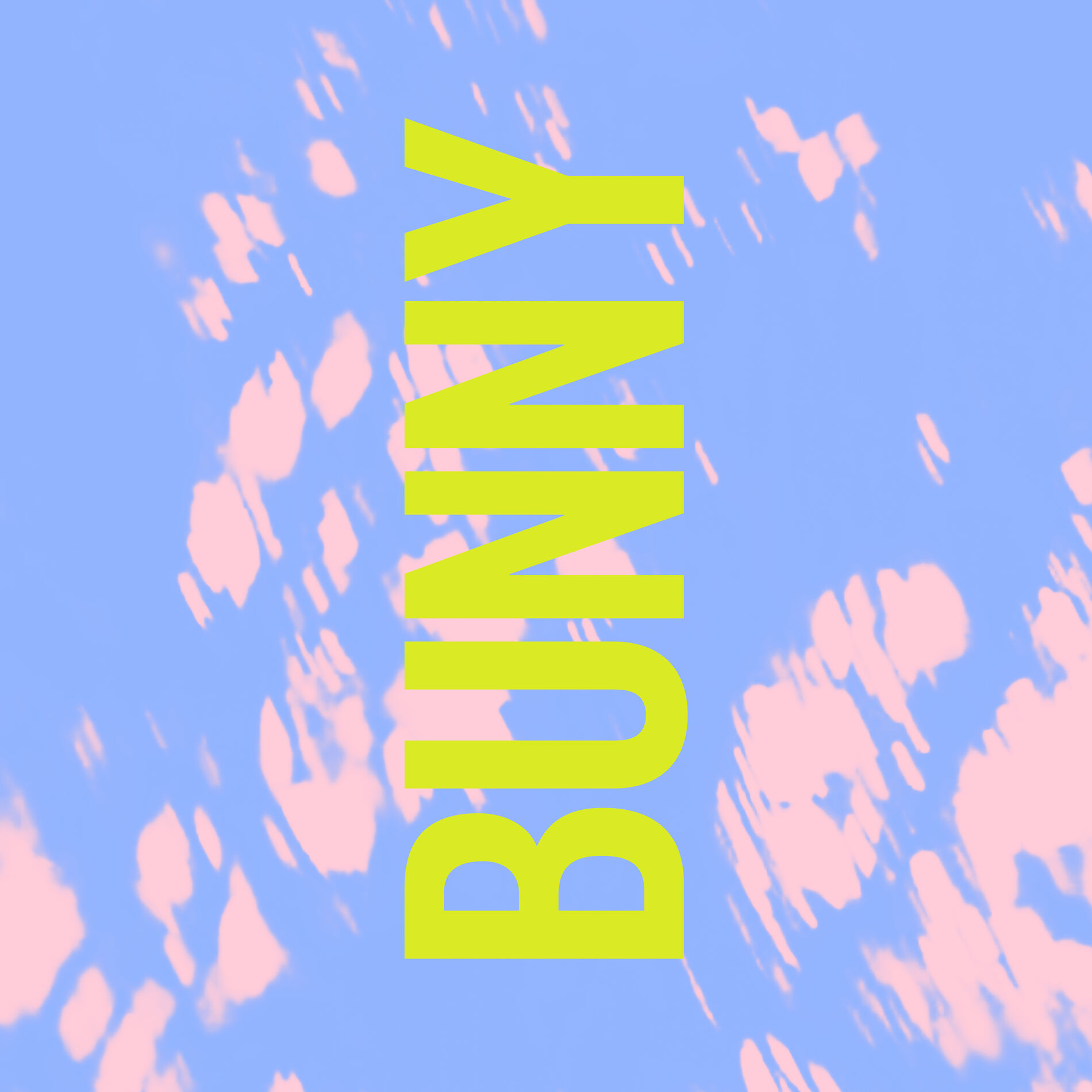 Album cover of Bunny