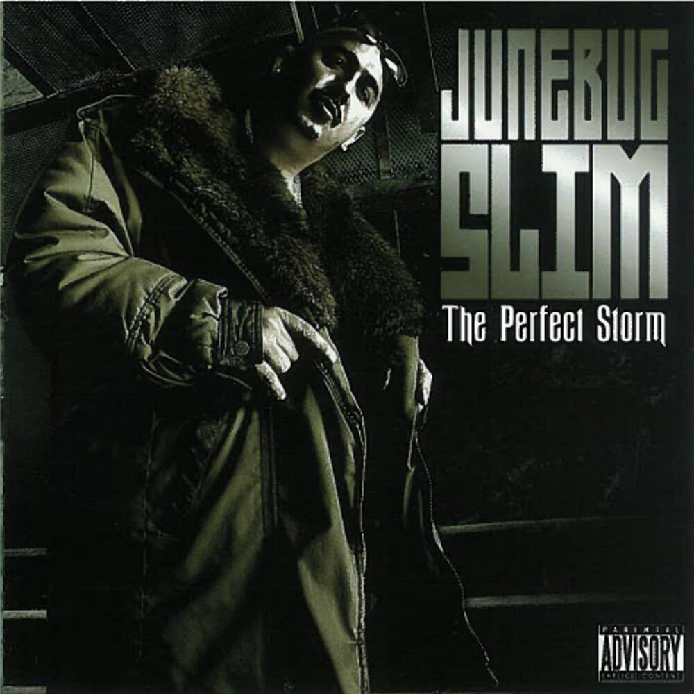 Picture of Perfect Storm,the