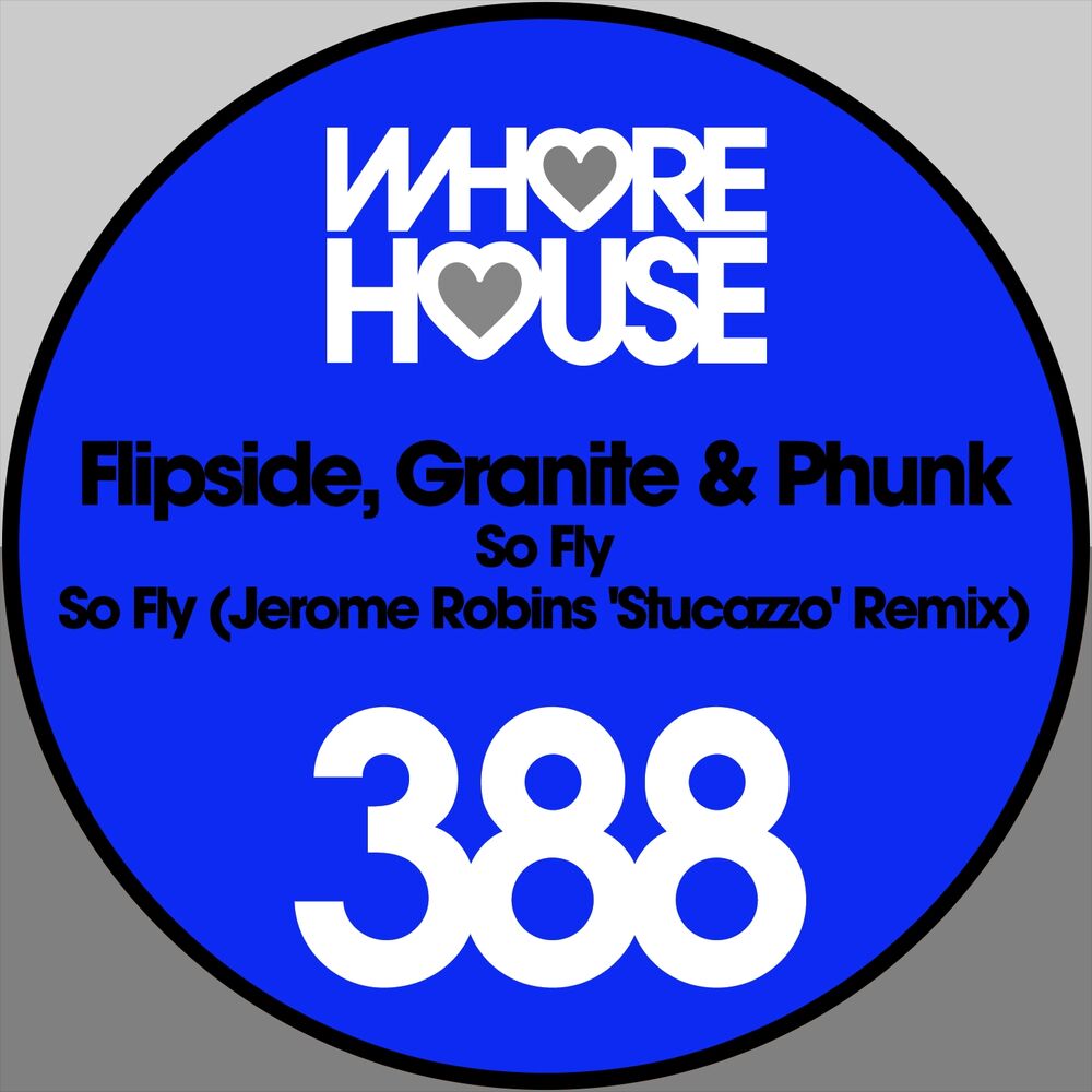 Picture of So Fly (Jerome Robins 'Stucazzo' Remix)