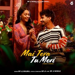 Cover of Main Tera Tu Meri