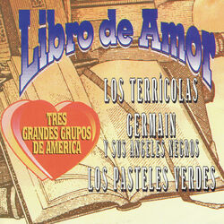 Cover of Libro de Amor