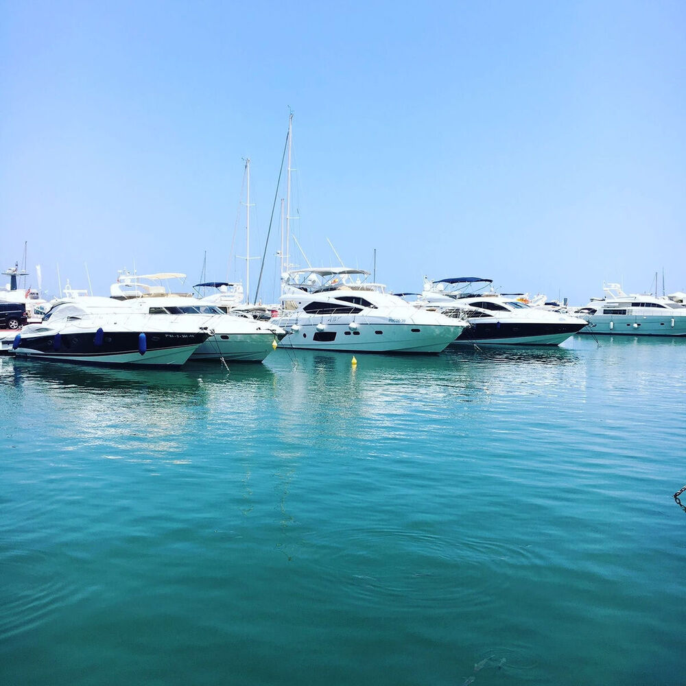 Picture of Holiday