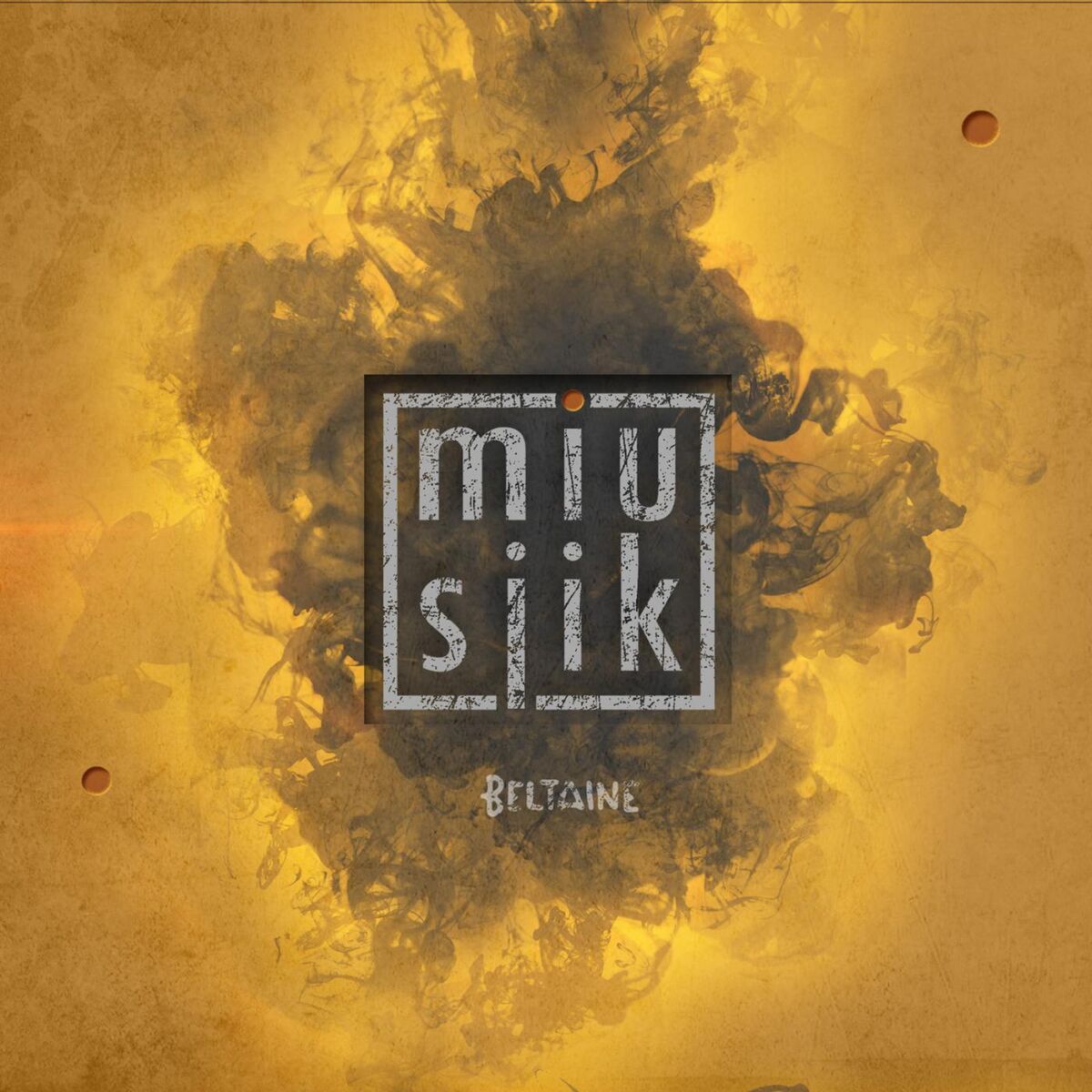 Album cover of Miusjik