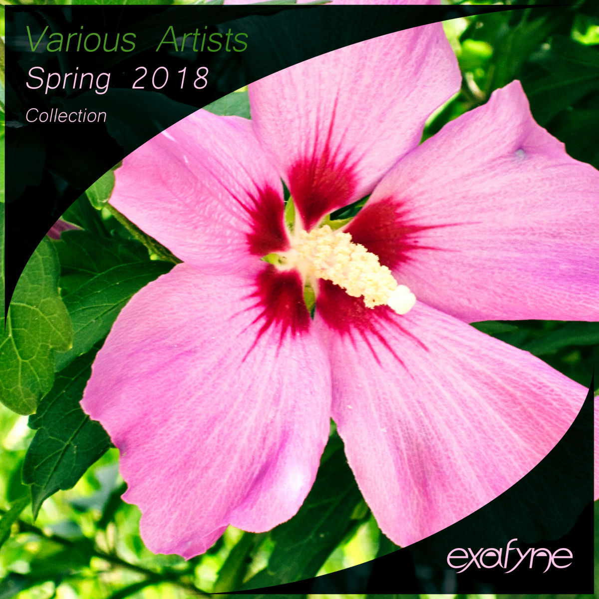 Album cover of Spring 2018 Collection