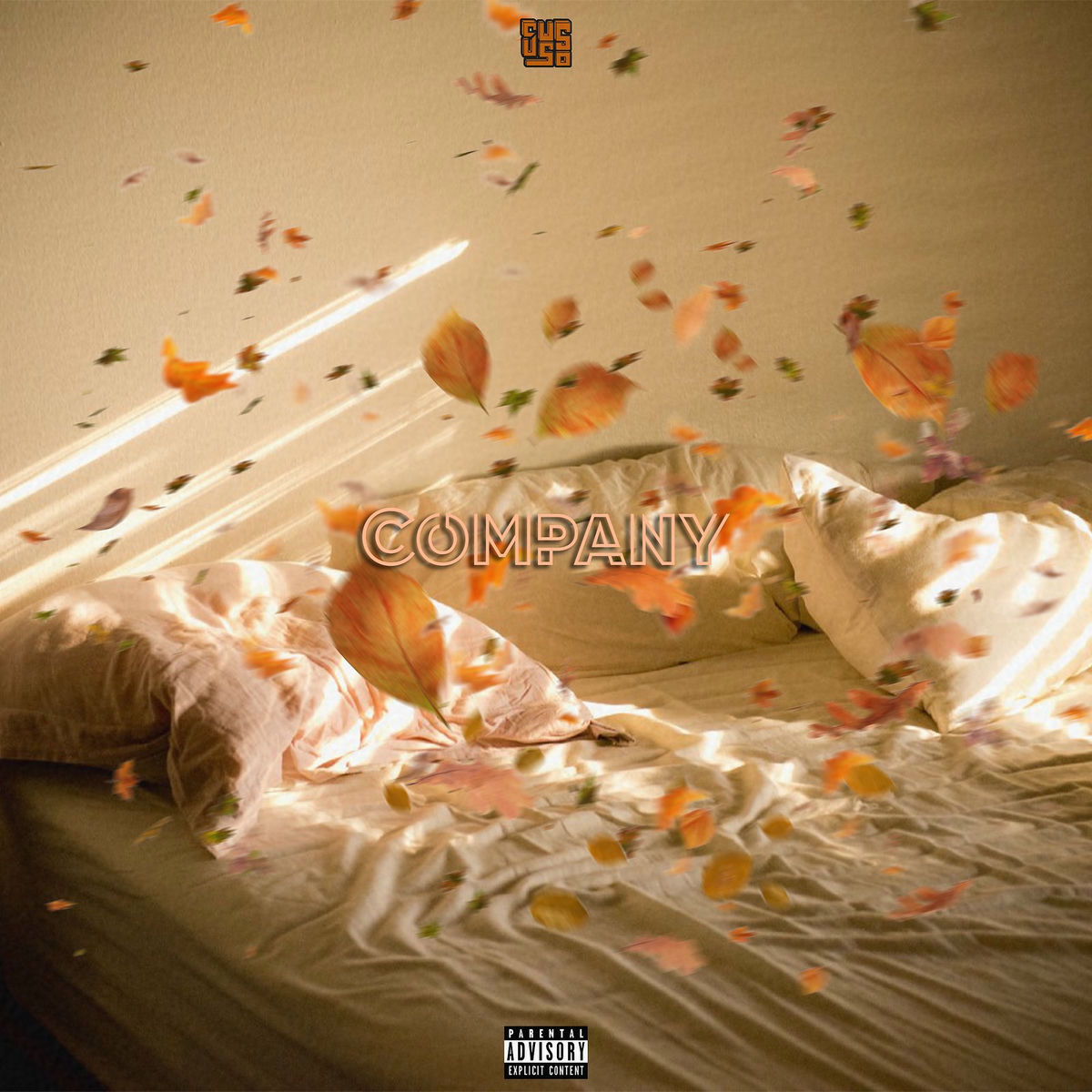 Album cover of Company