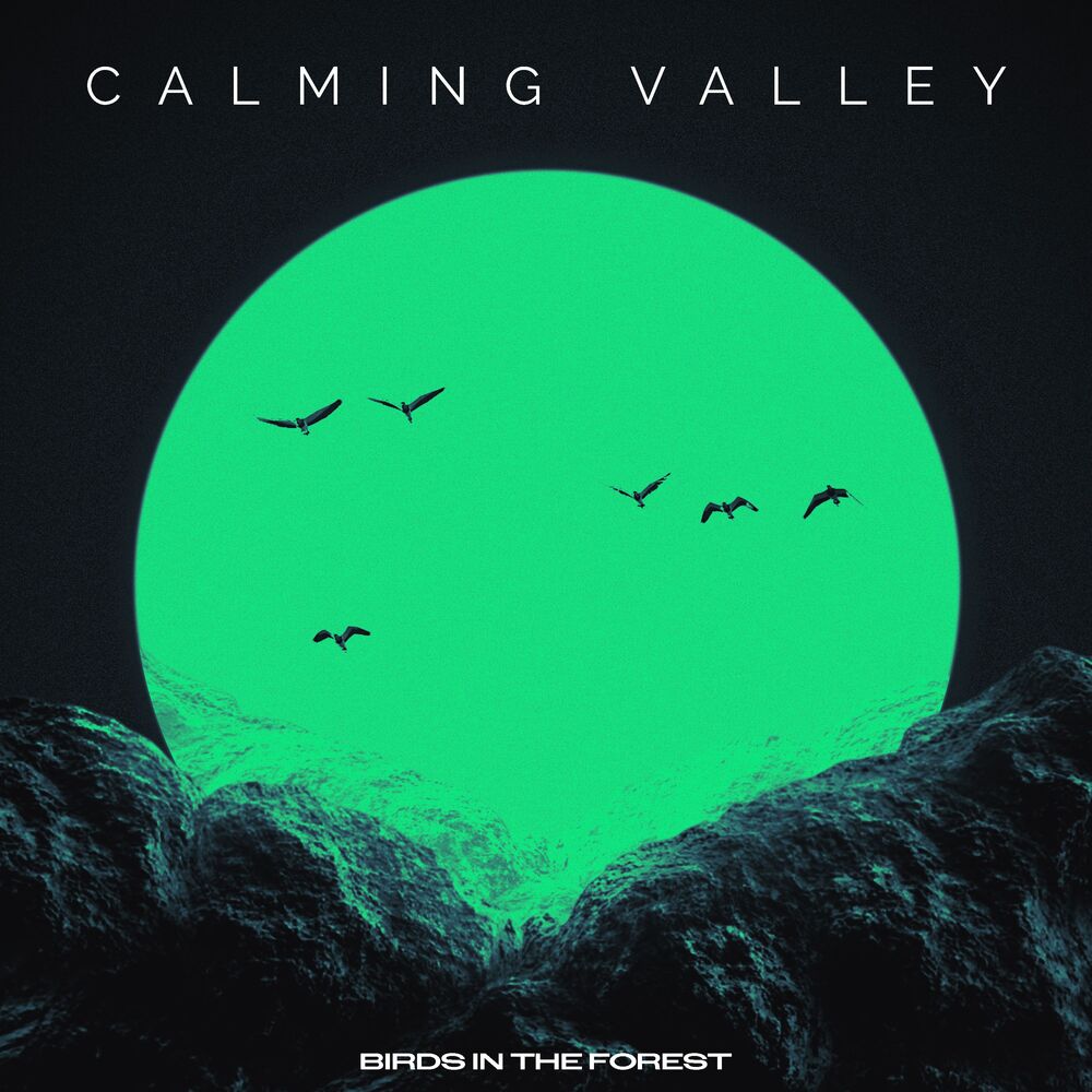 Picture of Calming Valley