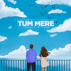 Cover of Tum Mere (Lofi Flip)