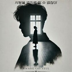 Cover of You can't force love
