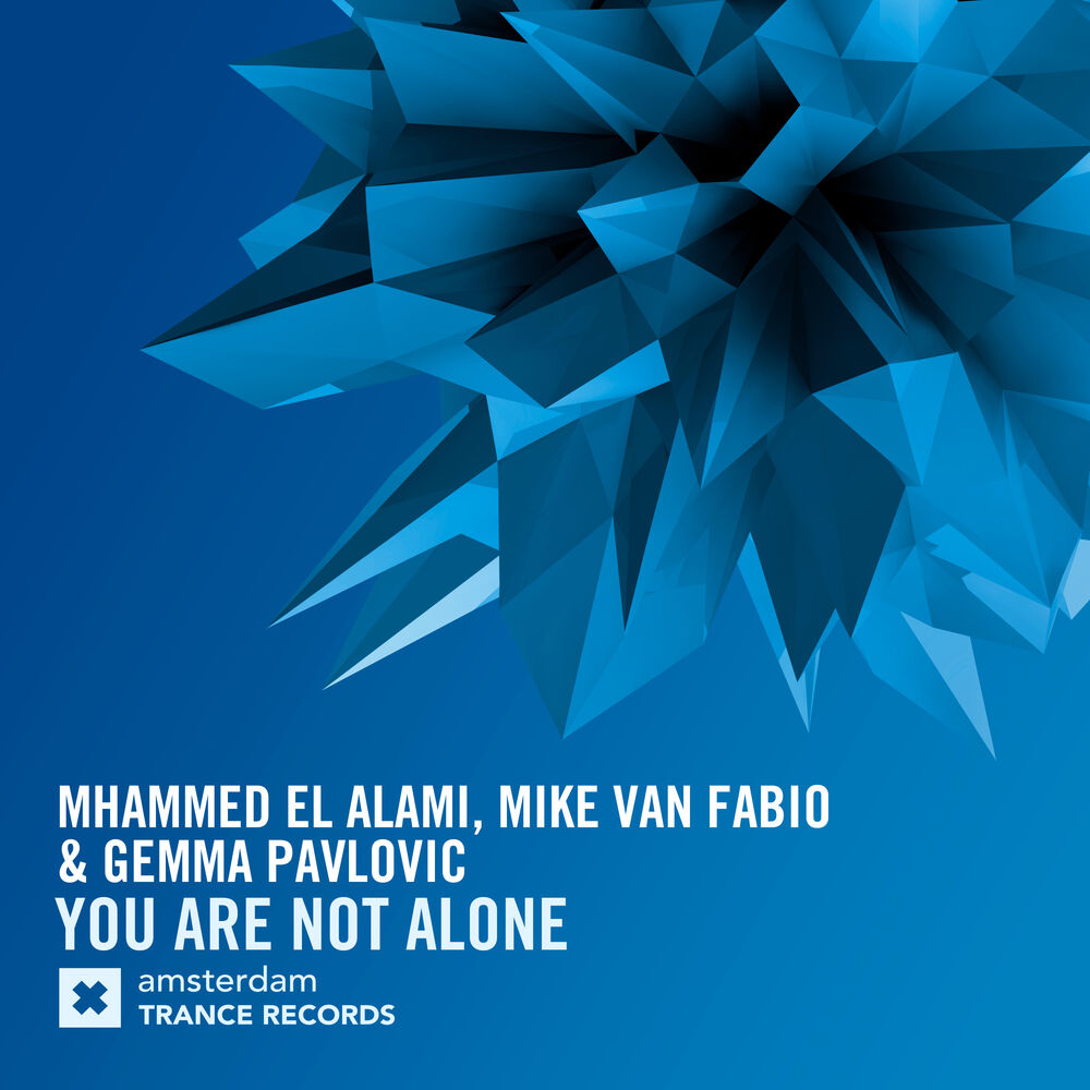 Picture of You Are Not Alone