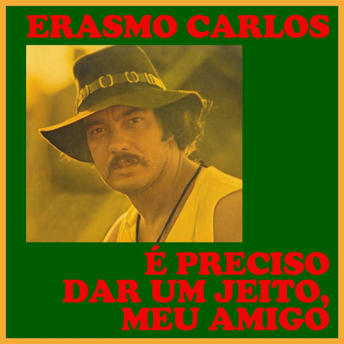 Album cover of Erasmo Carlos - É preciso dar um jeito, meu amigo