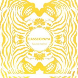music cover