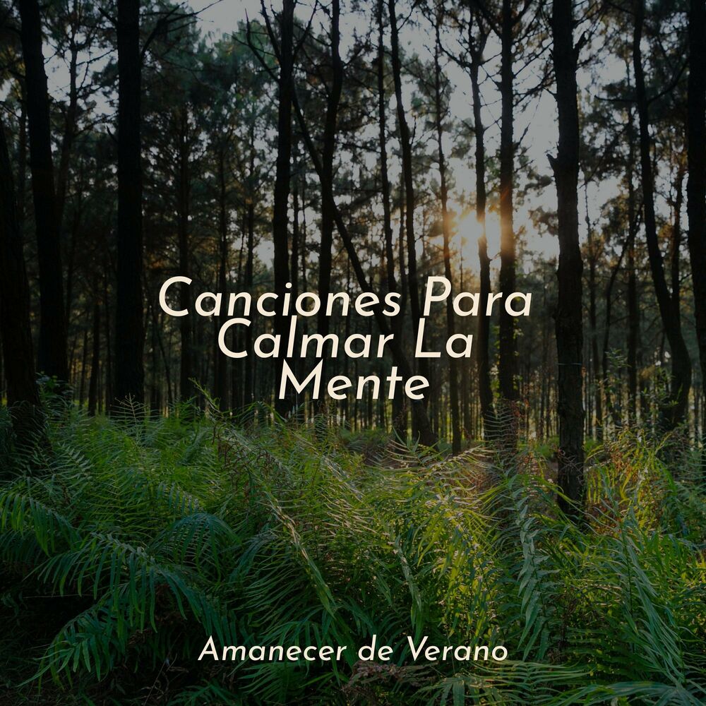 Picture of Canciones Para Calmar La Mente