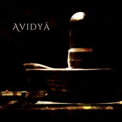 Cover of Avidyā