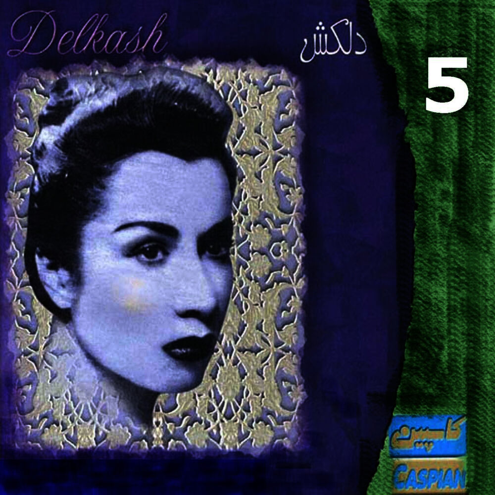 Picture of Delkash, Vol. 5
