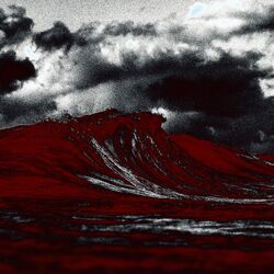 Cover of Caliwave