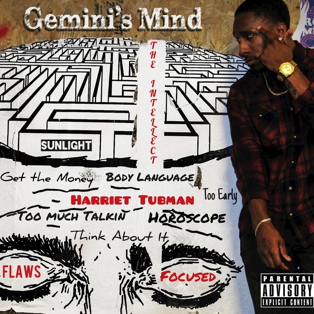 Album cover of Gemini's Mind