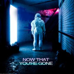 Cover of Now That You're Gone