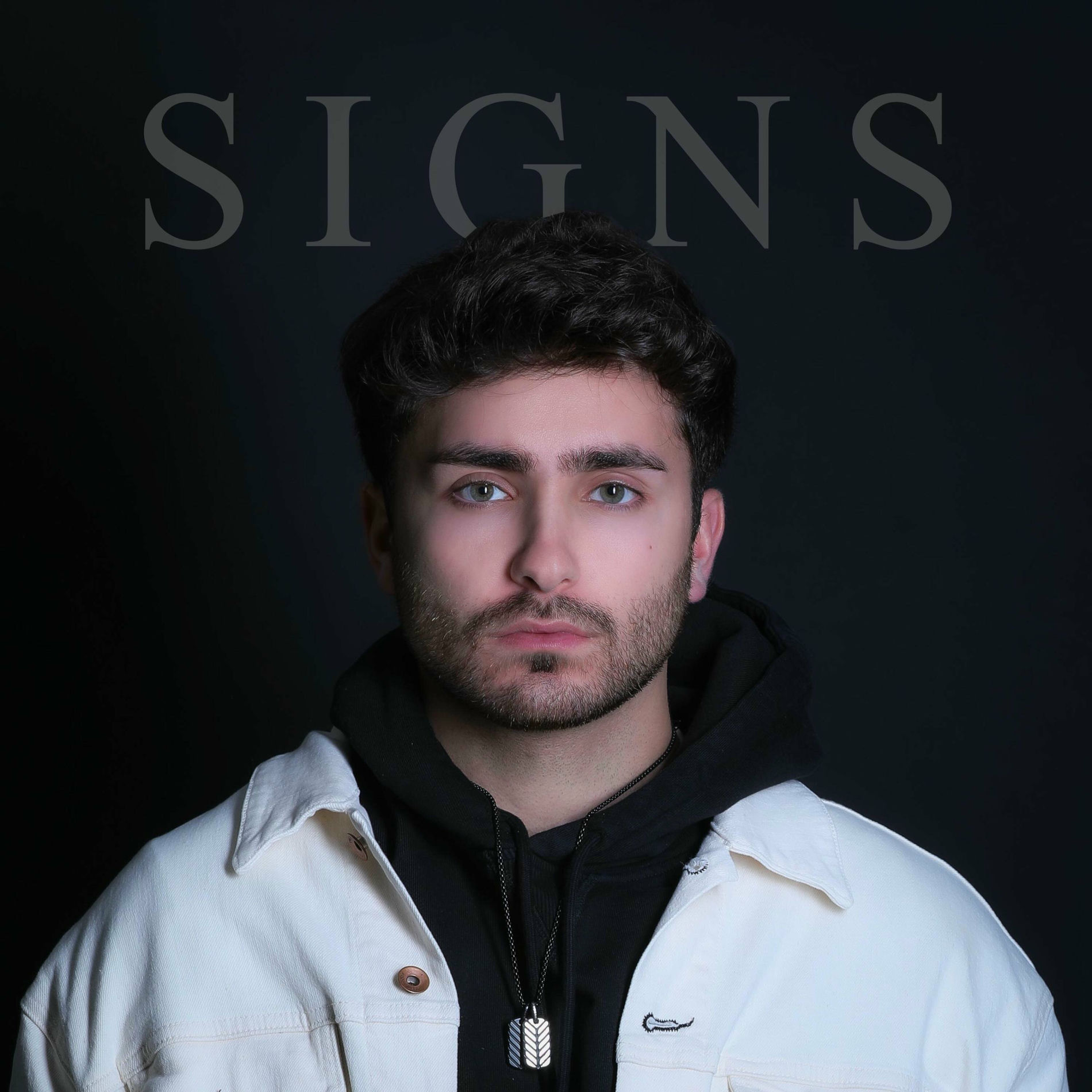 Album cover of Signs