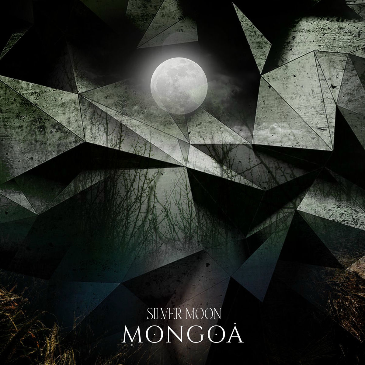 Album cover of SILVER MOON