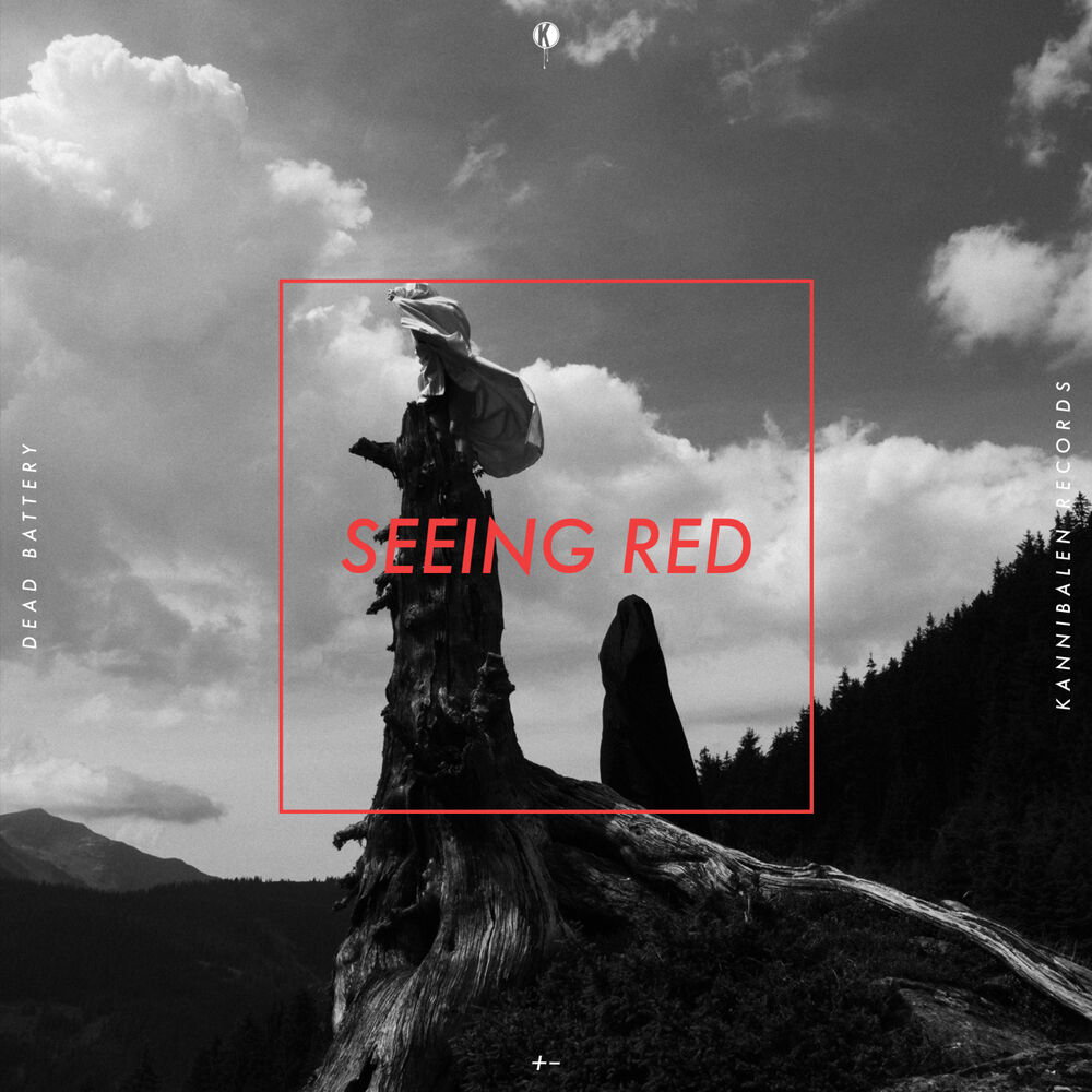 Picture of Seeing Red