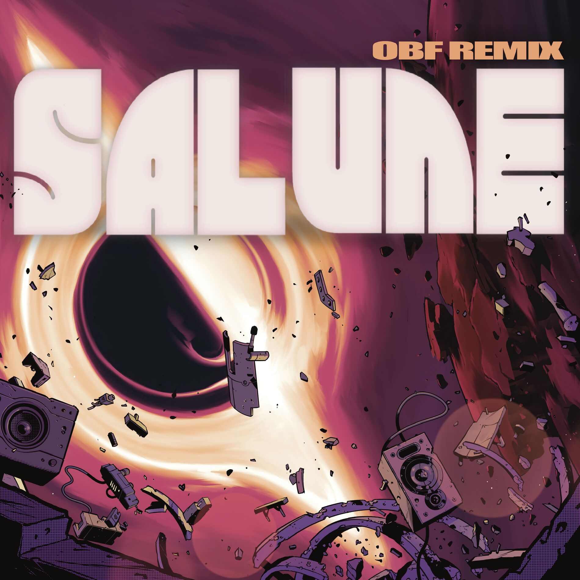 Album cover of Salune