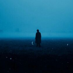 Cover of snowfall