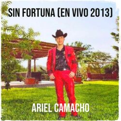 Cover of Sin Fortuna (En Vivo 2013)