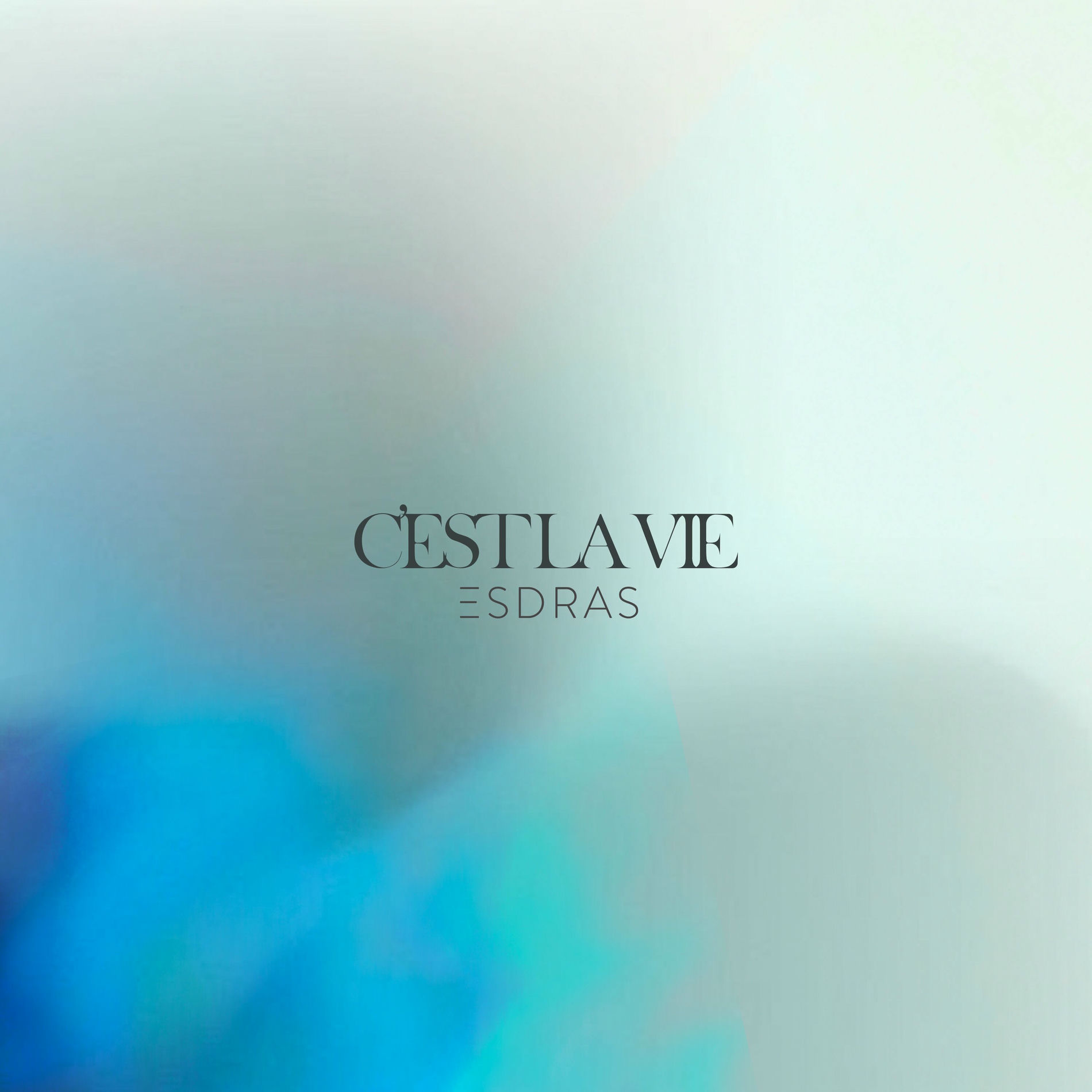 Album cover of C'est la vie