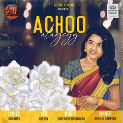 Cover of Achoo Alageyy